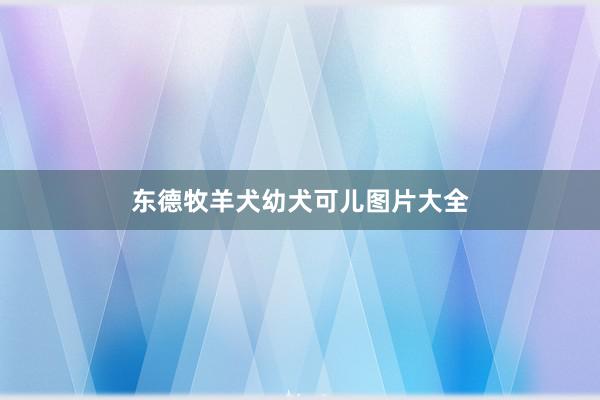 东德牧羊犬幼犬可儿图片大全