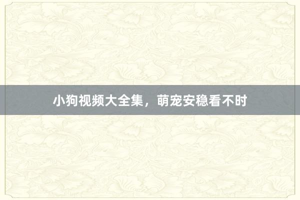 小狗视频大全集，萌宠安稳看不时